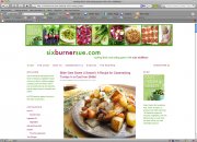  sixburnersue.com